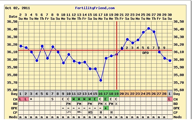 Ovulation Chart For 28 Day Cycle